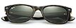 Ray-Ban Custom New Wayfarer sunglasses