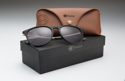 erika collection ray ban