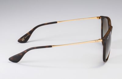 ray ban erika collection