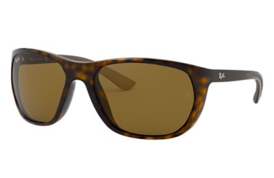 Rayban Ray Ban Rb4307 Unisex Sunglasses Lenses Bruin Frame 71073 61 18 rayban kopen in de aanbieding