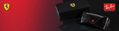 Ferrari collection special case
