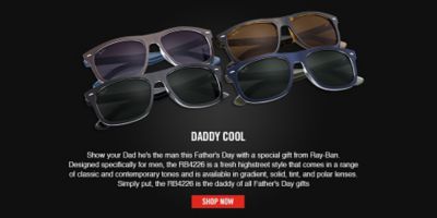 RB4226 Sunglasses | Ray-ban Online Store