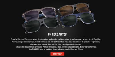 RB4226 Lunettes de Soleil | Ray-ban Online Store